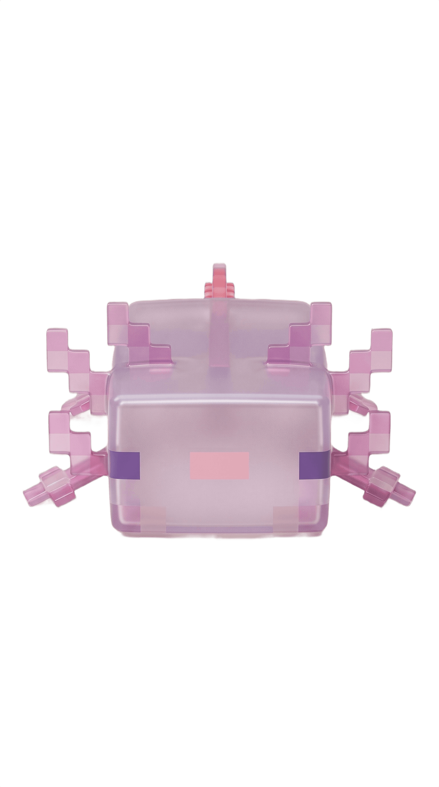 Axolotl