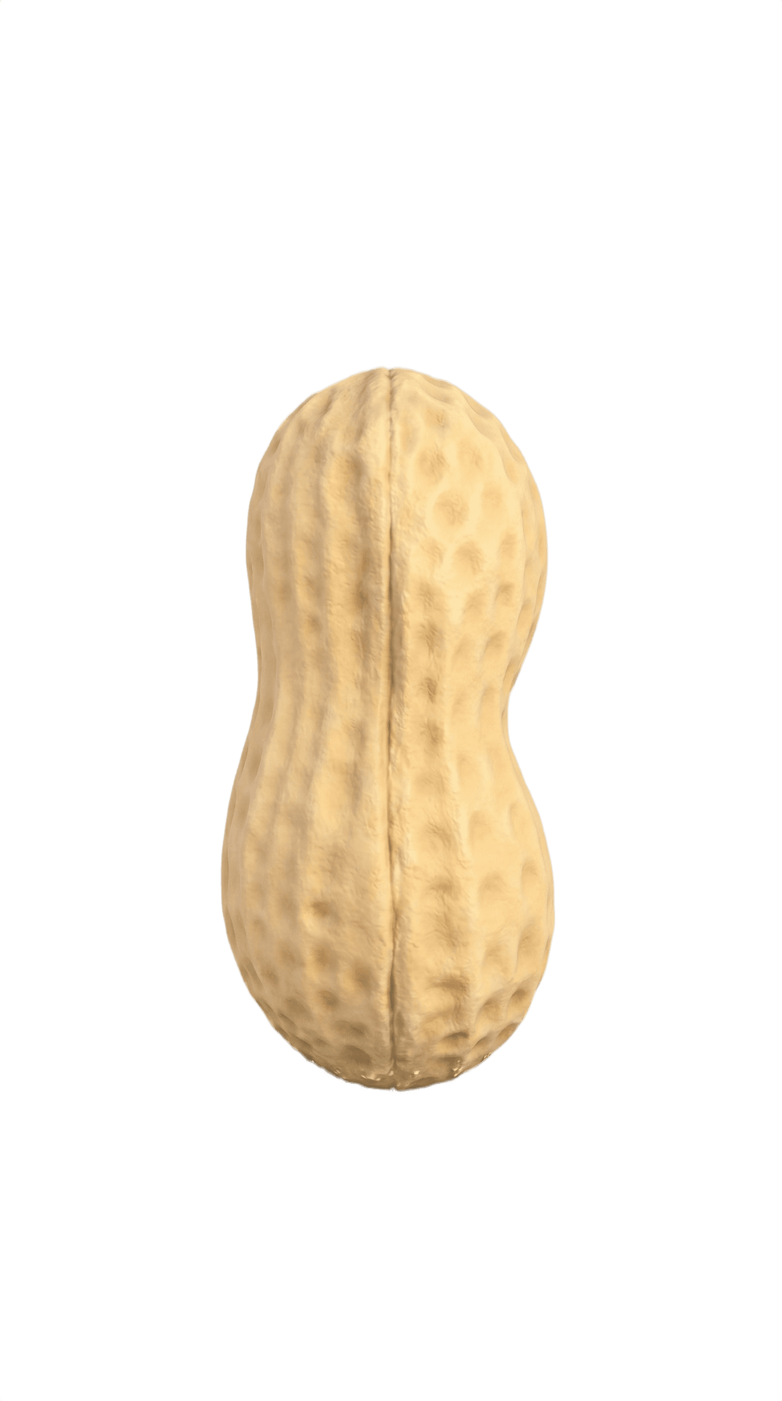 P. Nut